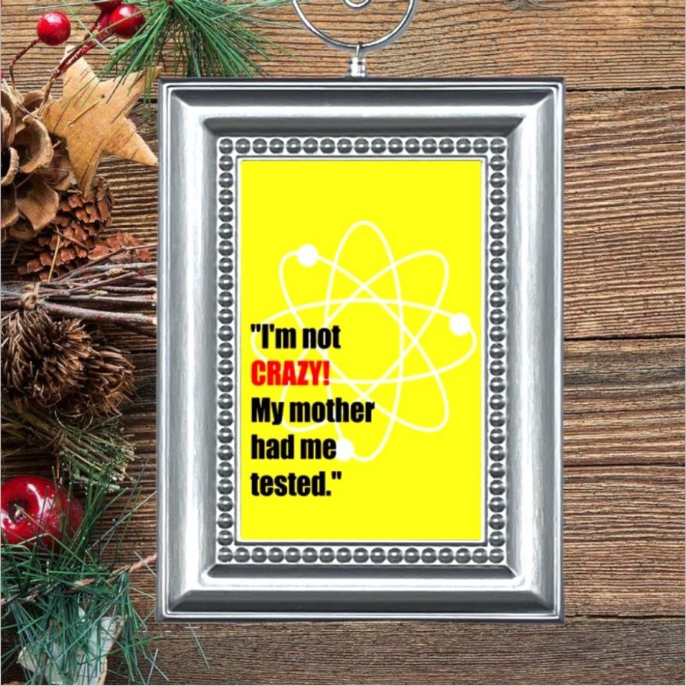 The Big Bang Theory Sheldon Cooper I'M NOT CRAZY Christmas Ornament